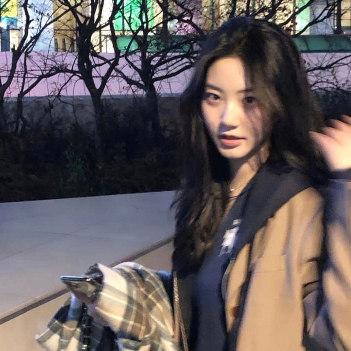 怪兽王哥斯拉